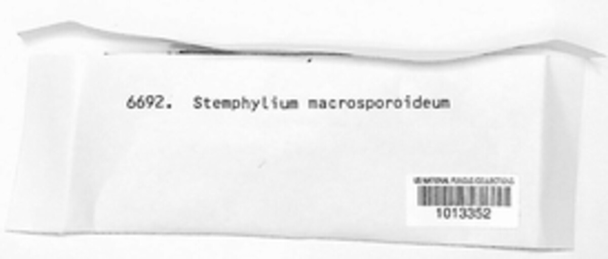 Monodictys castaneae image